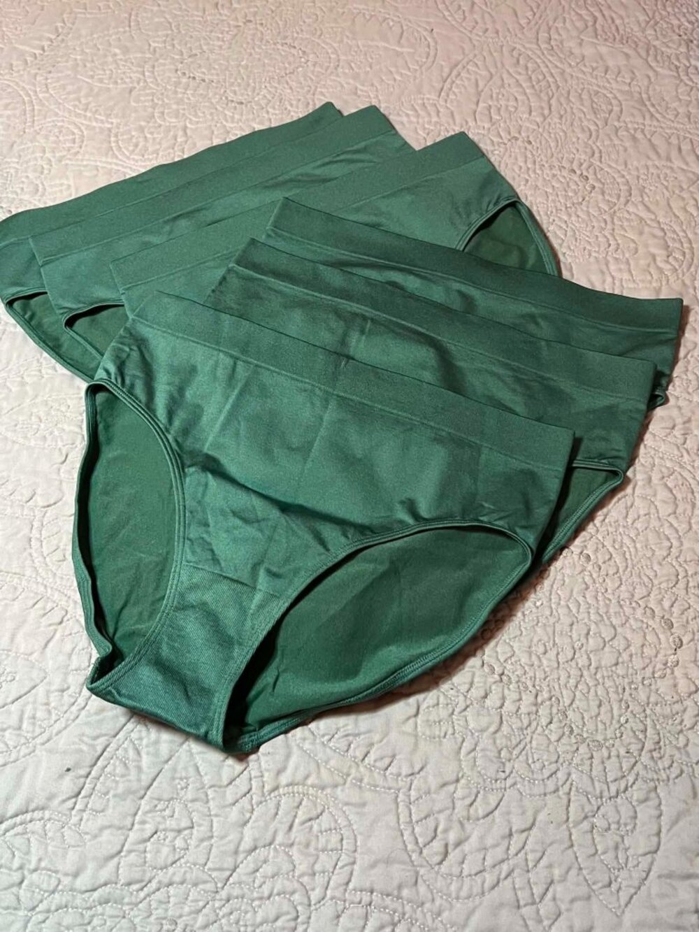 Quince 6-Pack Comfort High Waist Brief Rosemary Size M